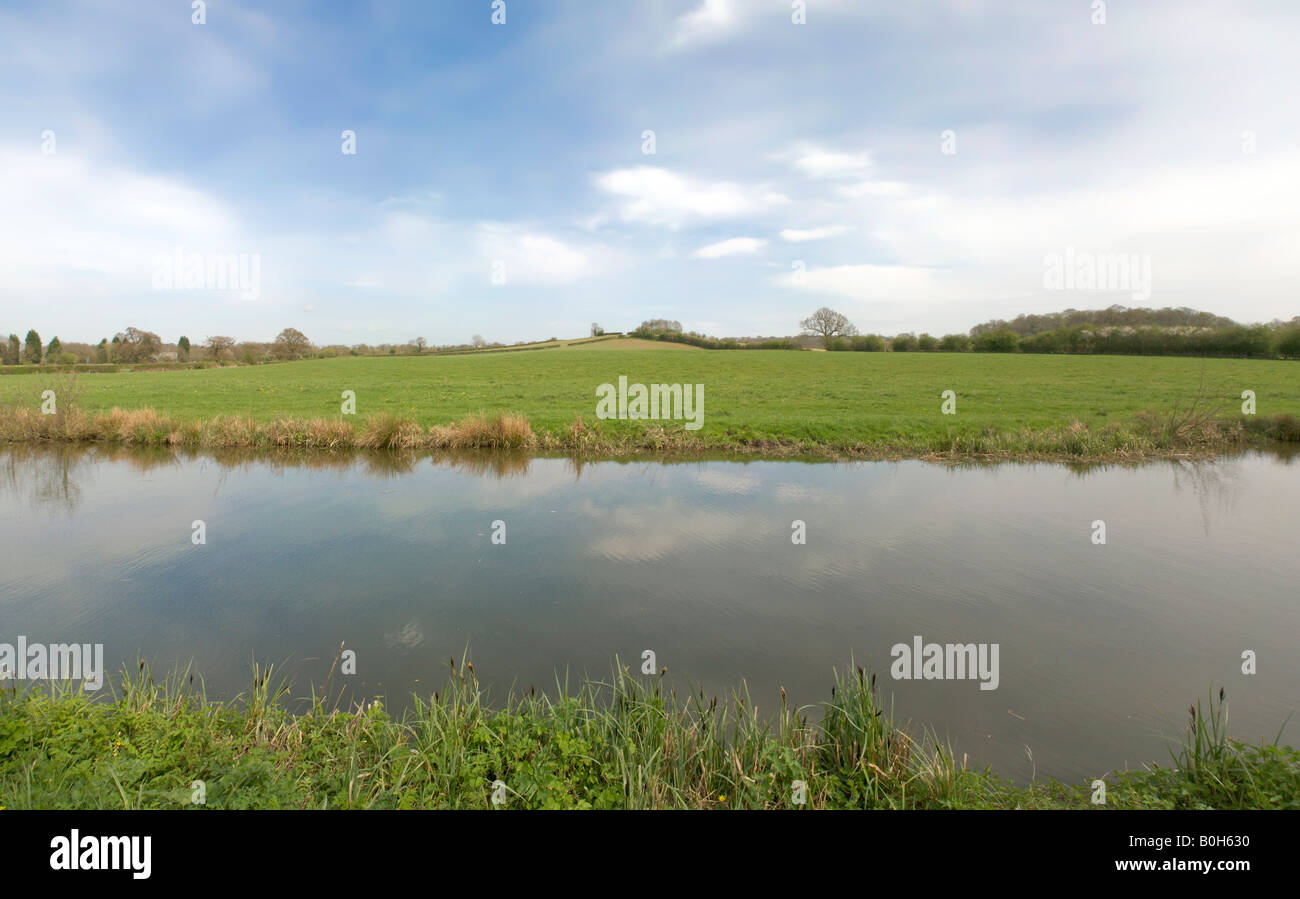 The banks of a river with bushes and trees Stock Photo - Alamy