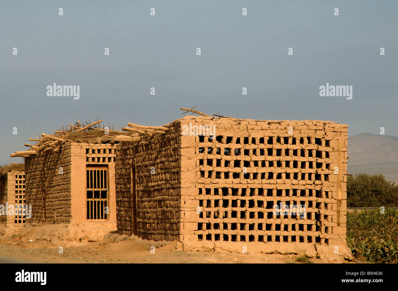 Chinese grapes hires stock photography and images Alamy