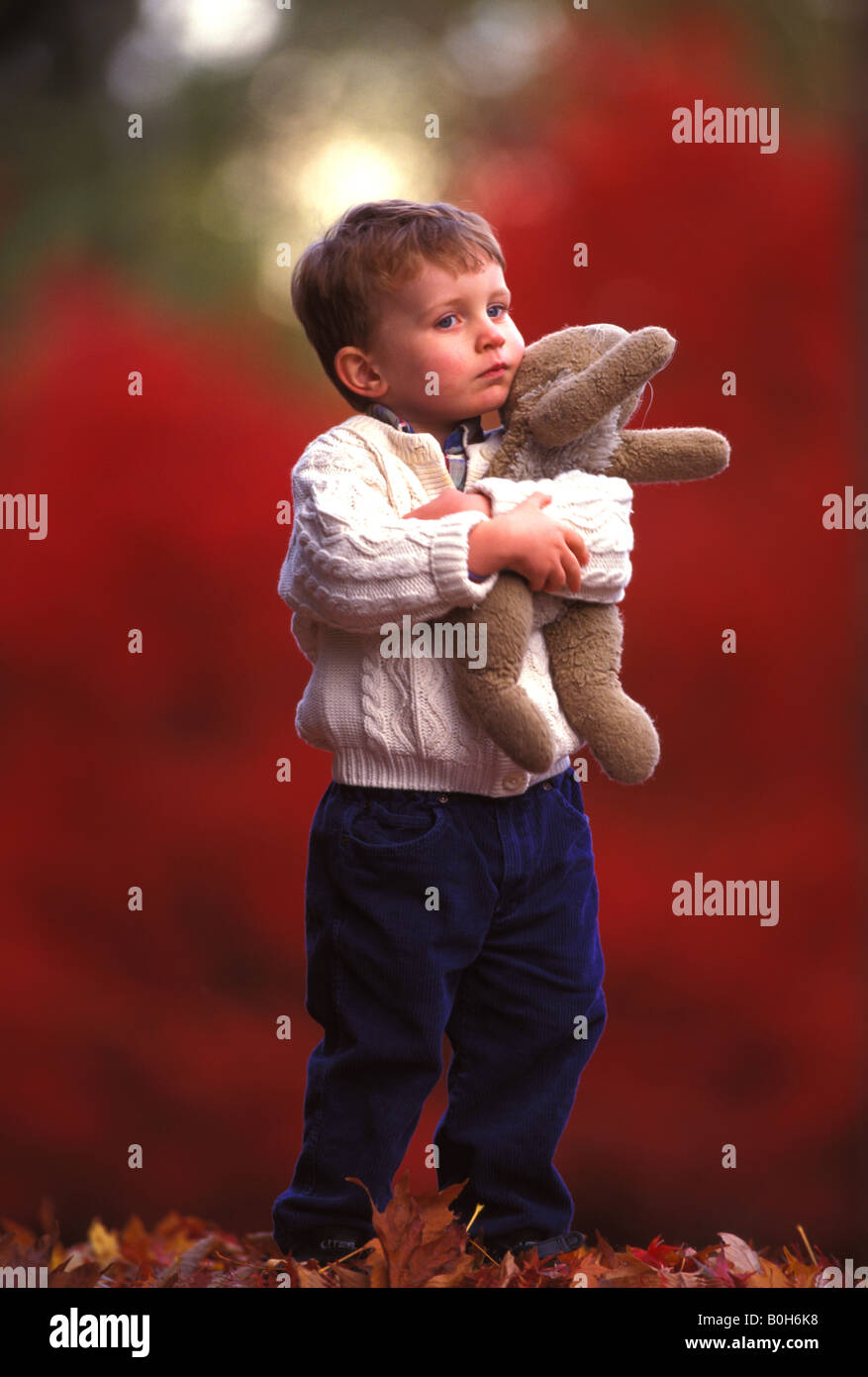 A three year old boy clutches his stuffed bunny to his chest on an ...