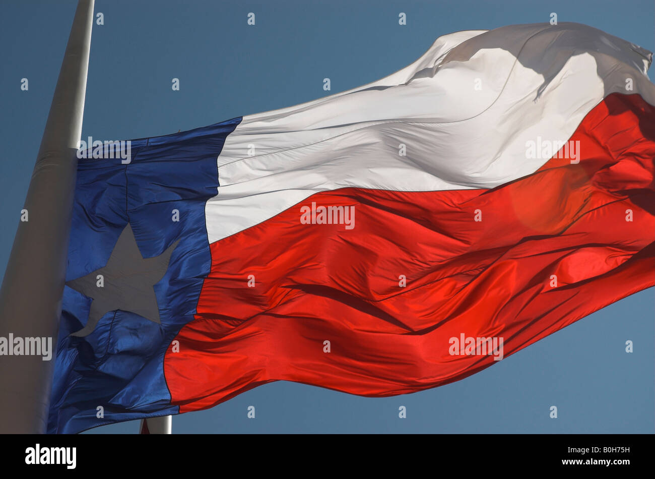 Texas flag Stock Photo