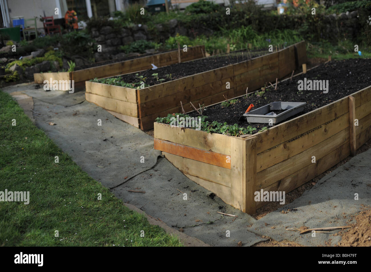 Three raised beds pictured in a garden in Totnes, Devon. Stock Photo