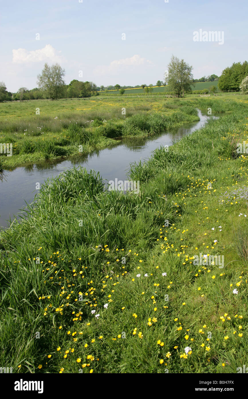 River Ver St Albans Aldenham Hertfordshire Herts Stock Photo Alamy