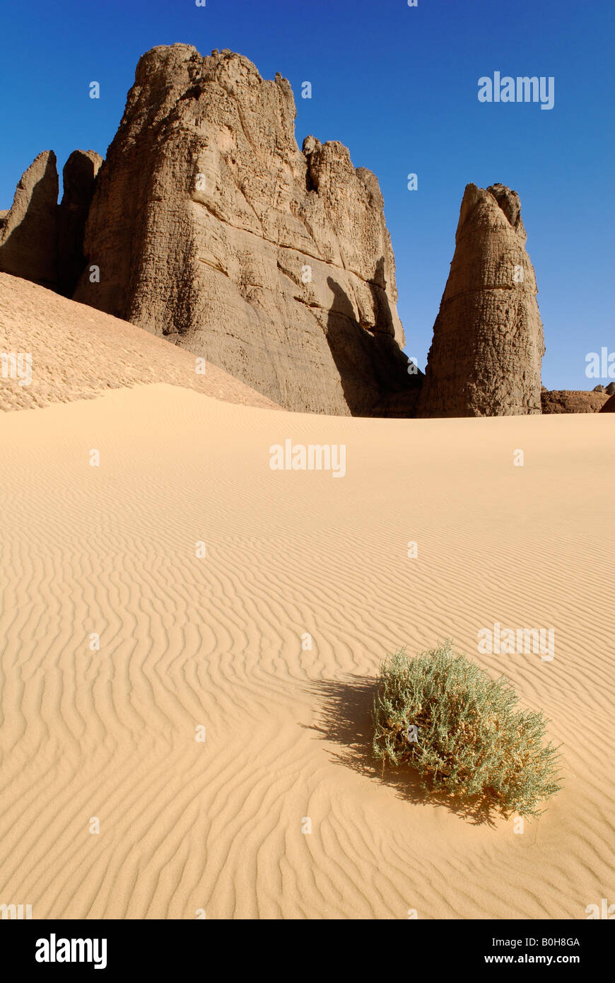 Eroded rock formations rising out of desert sand dunes, ripples in Tin Akachaker, Tassili du Hoggar, Wilaya Tamanrasset, Sahara Stock Photo