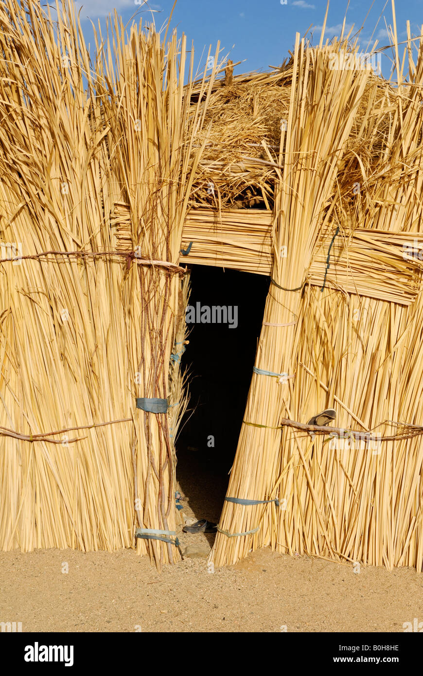 Tuareg thatched palm hut, Zeriba, Hoggar, Ahaggar, Wilaya Tamanrasset, Algeria, North Africa, Africa Stock Photo