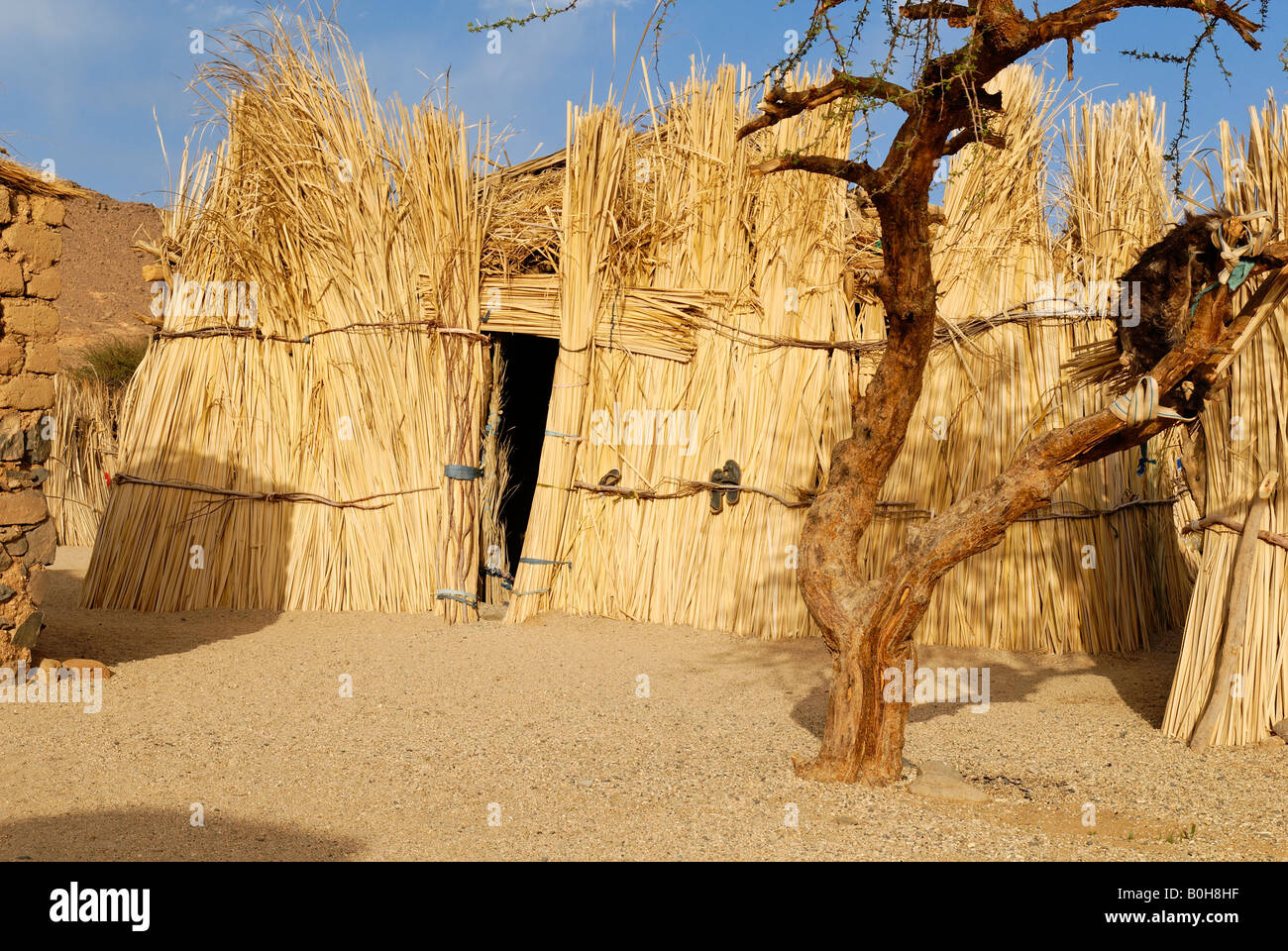 Tuareg thatched palm hut, Zeriba, Hoggar, Ahaggar, Wilaya Tamanrasset, Algeria, North Africa, Africa Stock Photo