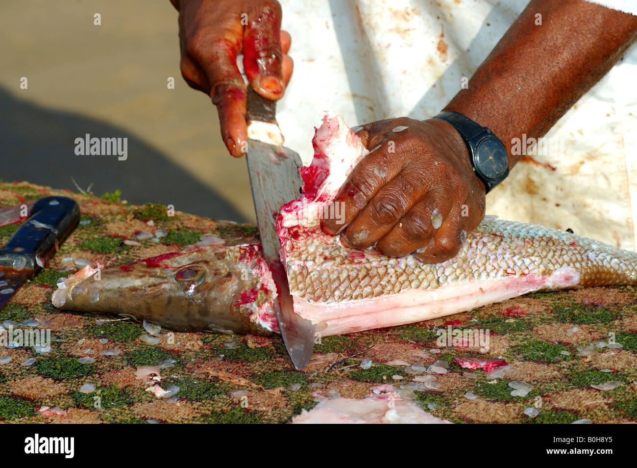 Fishmonger cleaning fresh fish, Sur, Oman, Middle East Stock Photo