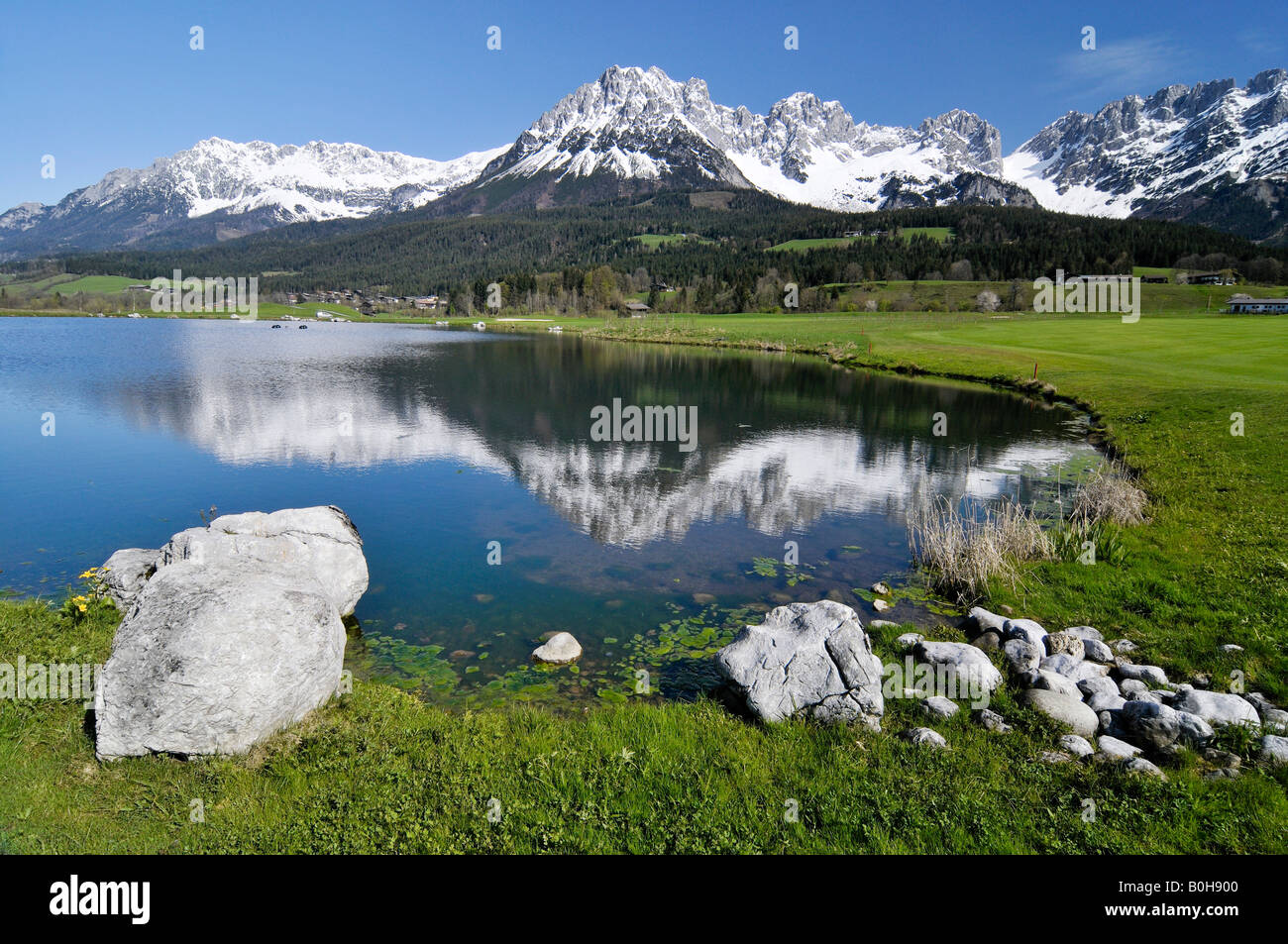 Artificial lake beside a golf course in front of the Kaisergebirge Mountains, Leukental Valley, Tyrol, Austria, Europe Stock Photo