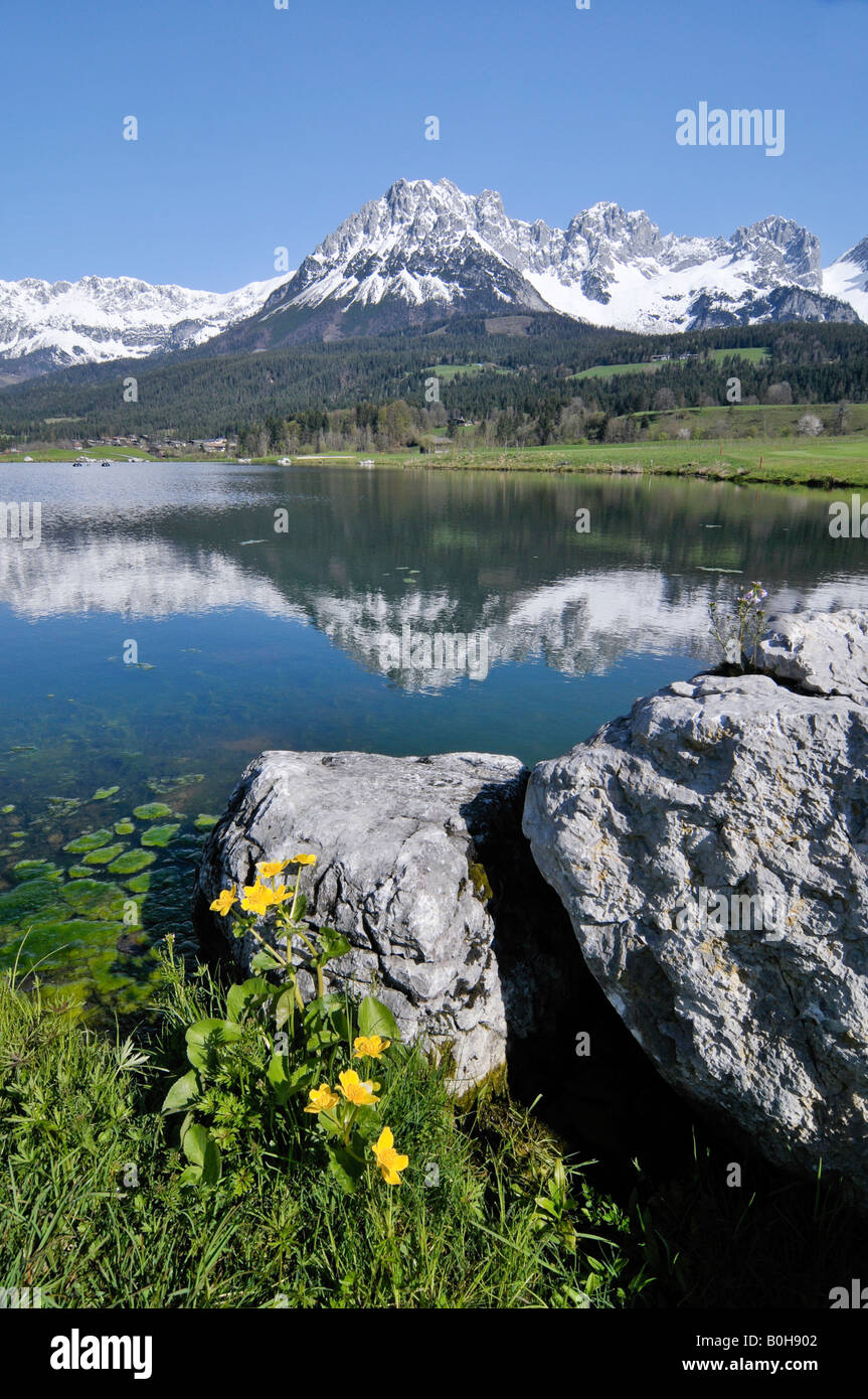 Artificial lake beside a golf course in front of the Kaisergebirge Mountains, Leukental Valley, Tyrol, Austria, Europe Stock Photo