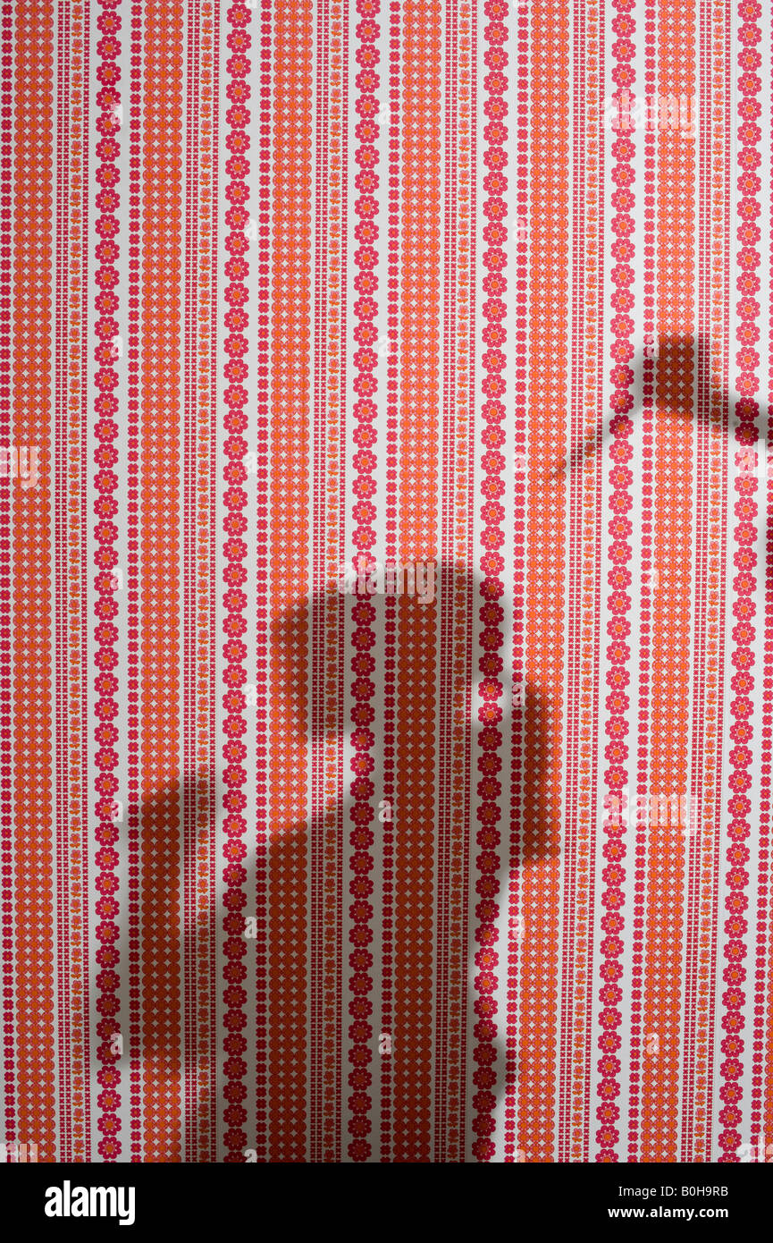 Shadow on wallpaper, violent scene, stabbing Stock Photo