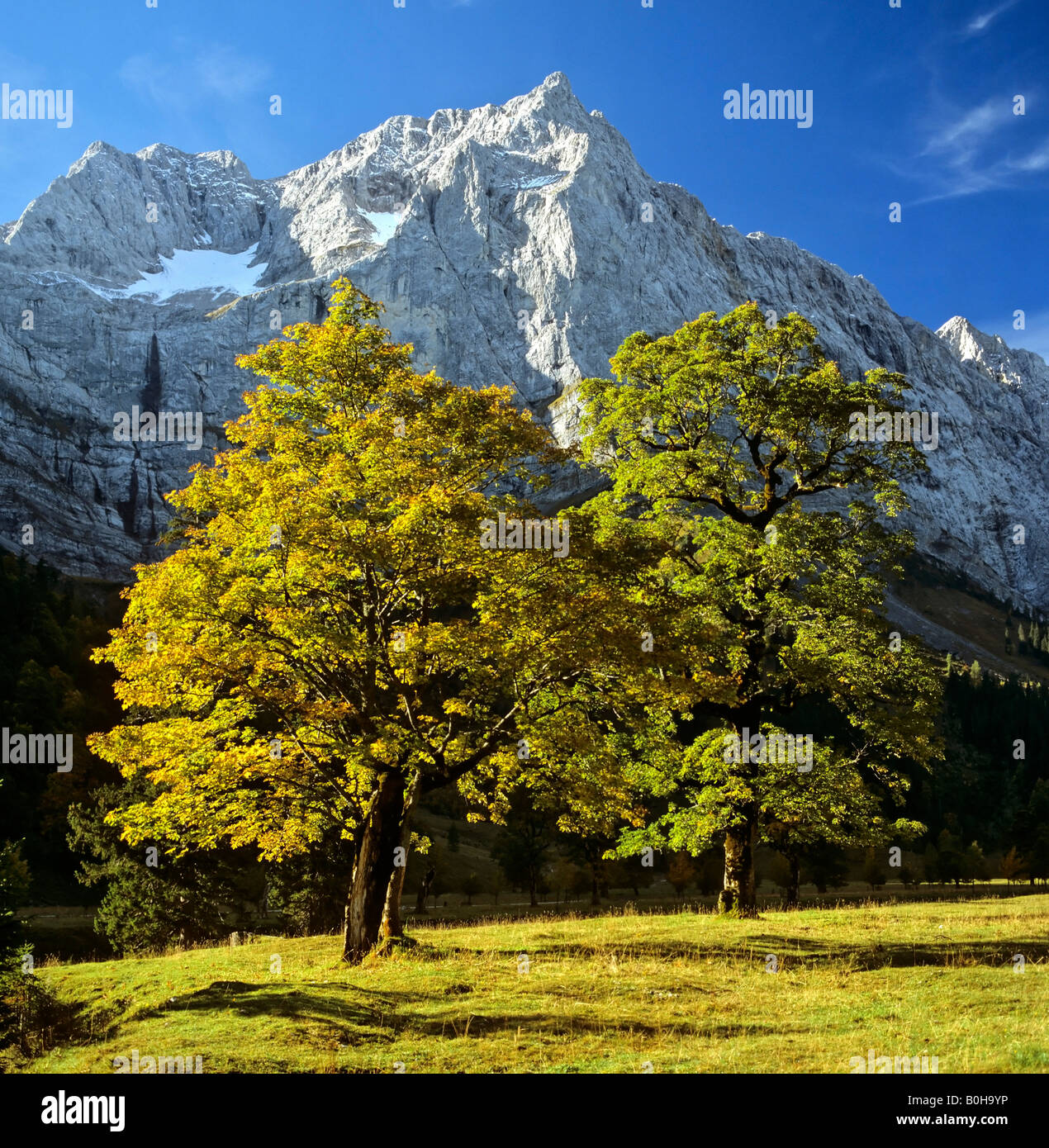Grosser Ahornboden, autumn, Mt. Spritzkarspitze, Eiskarln, Karwendel Range, Tirol, Austria Stock Photo
