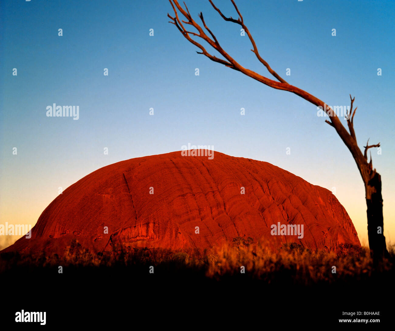 Uluru, Ayers Rock, red rock, dusk, sandstone, Northern Territory