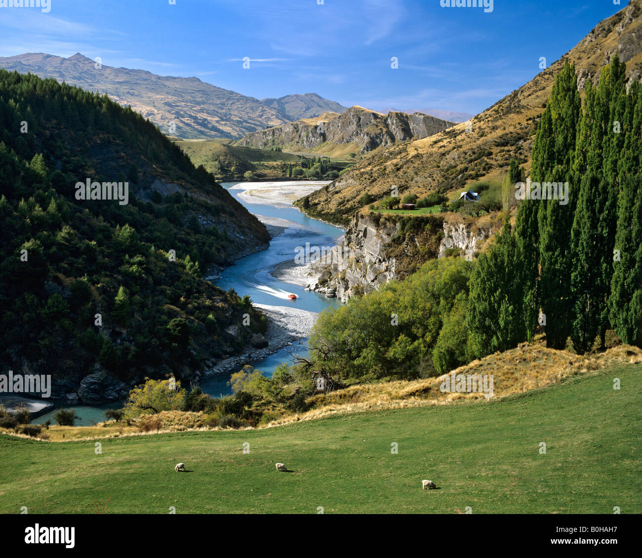 Shotover River, motorboat, Arthur's Point, Queenstown, South Island, New Zealand Stock Photo