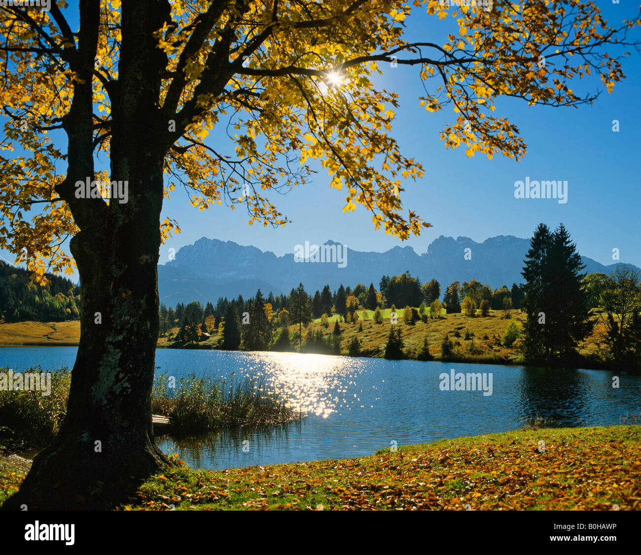 Autumn scenery, Lake Gerold, Gerold, Karwendel Range, Upper Bavaria ...