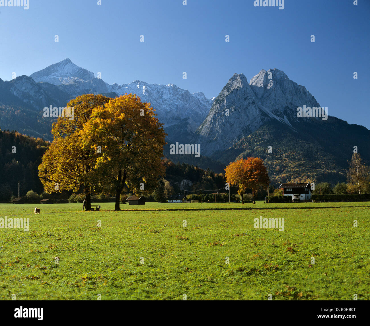 Wetterstein Range near Garmisch-Partenkirchen, autumnal mood, Upper Bavaria, Bavaria, Germany Stock Photo