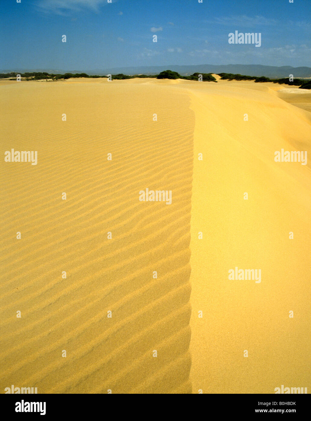 Sand dunes near Coro, Falcon, Venezuela, South America Stock Photo