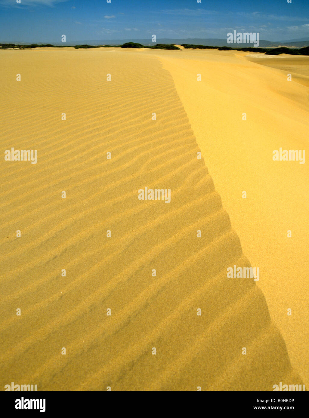 Sand dunes near Coro, Falcon, Venezuela, South America Stock Photo