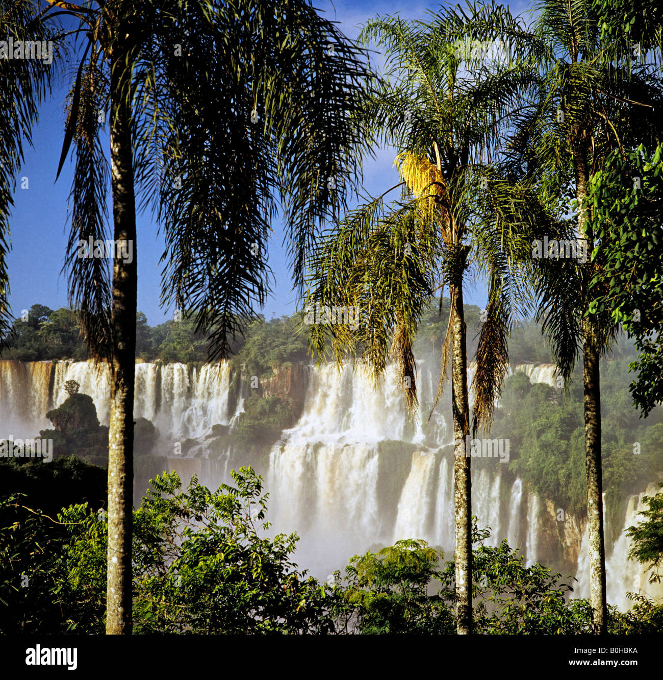 Iguazu Falls, UNESCO World Heritage Site, Argentina, South America Stock Photo