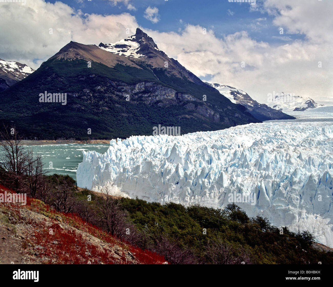 Perito Moreno Glacier, Campo de Hielo Sur, Andes, Patagonia, Argentina, South America Stock Photo