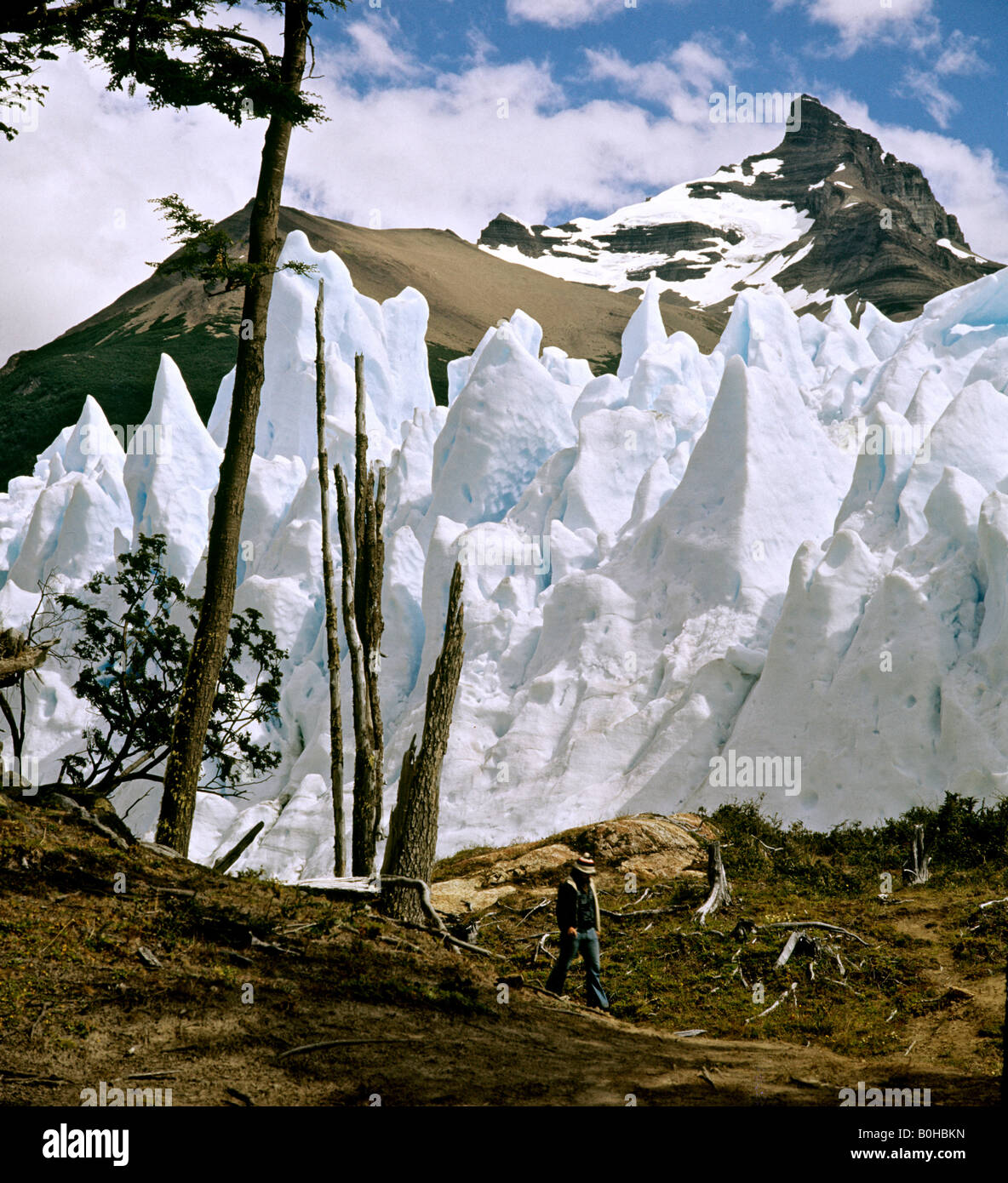 Perito Moreno Glacier, Campo de Hielo Sur, Stock Photo