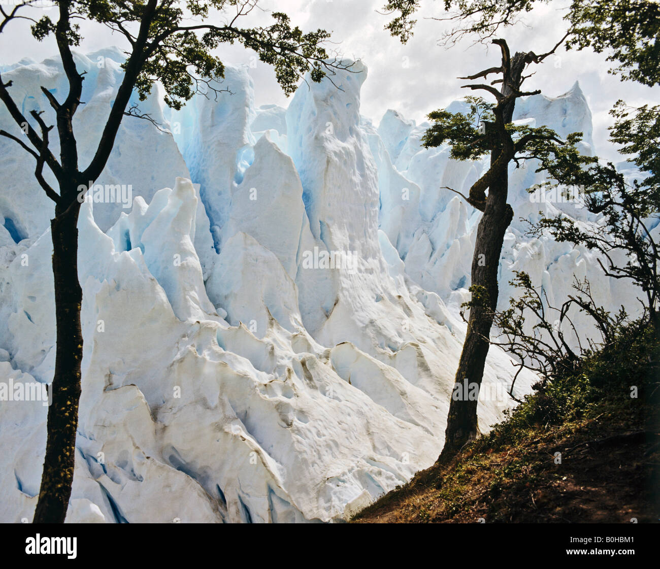 Perito Moreno Glacier, Campo de Hielo Sur, Andes, Patagonia, Argentina, South America Stock Photo