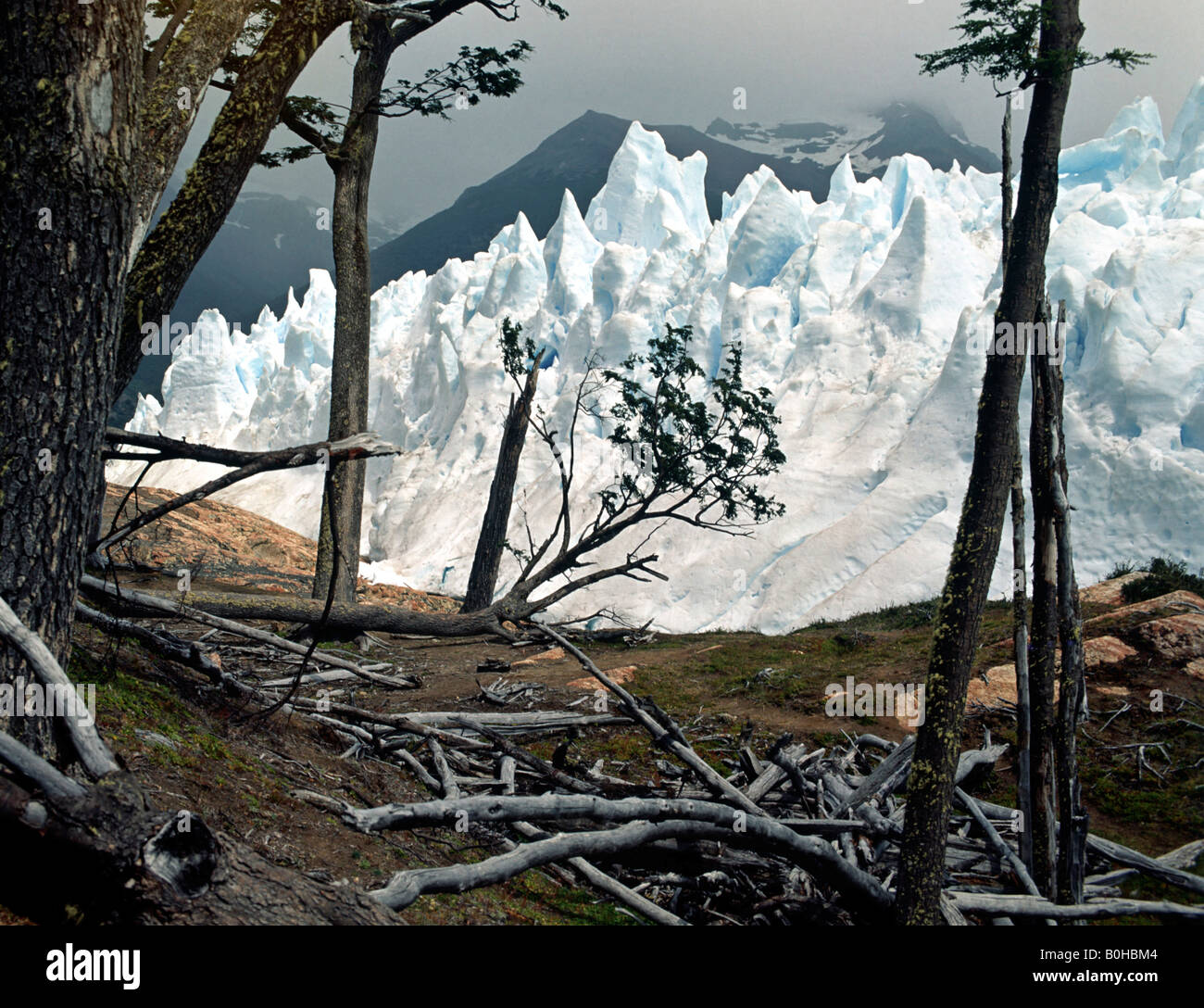 Perito Moreno Glacier, Campo de Hielo Sur, Andes, Patagonia, Argentina, South America Stock Photo