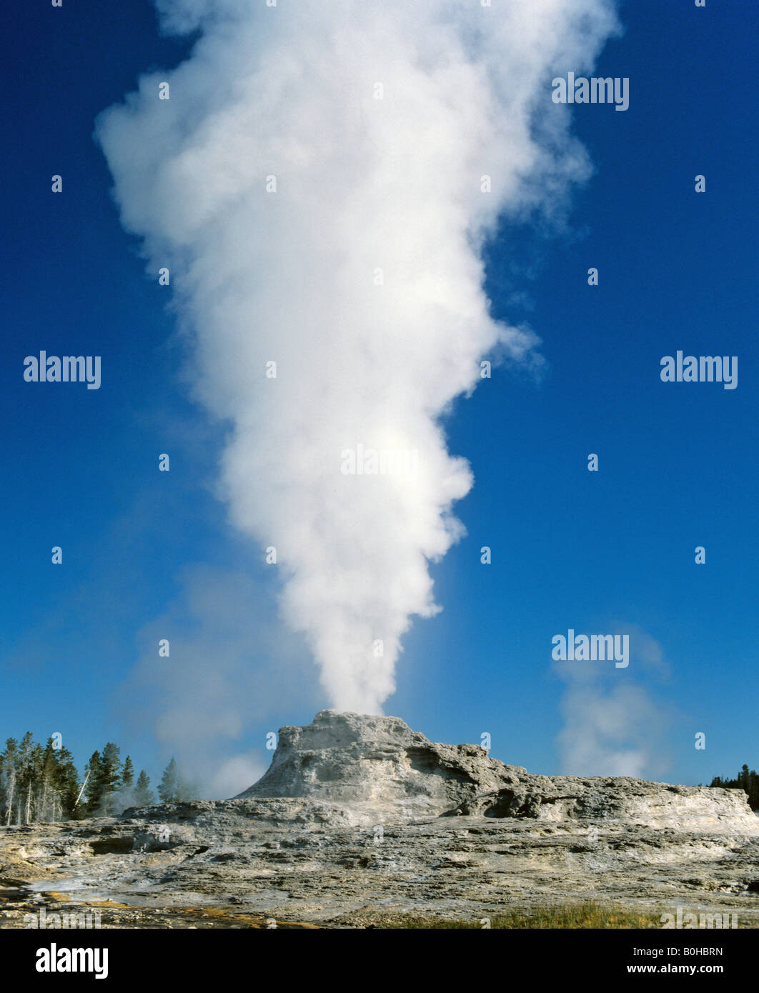 Steam rising from Castle Geyser, Yellowstone National Park, Rocky Mountains, Wyoming, USA Stock Photo