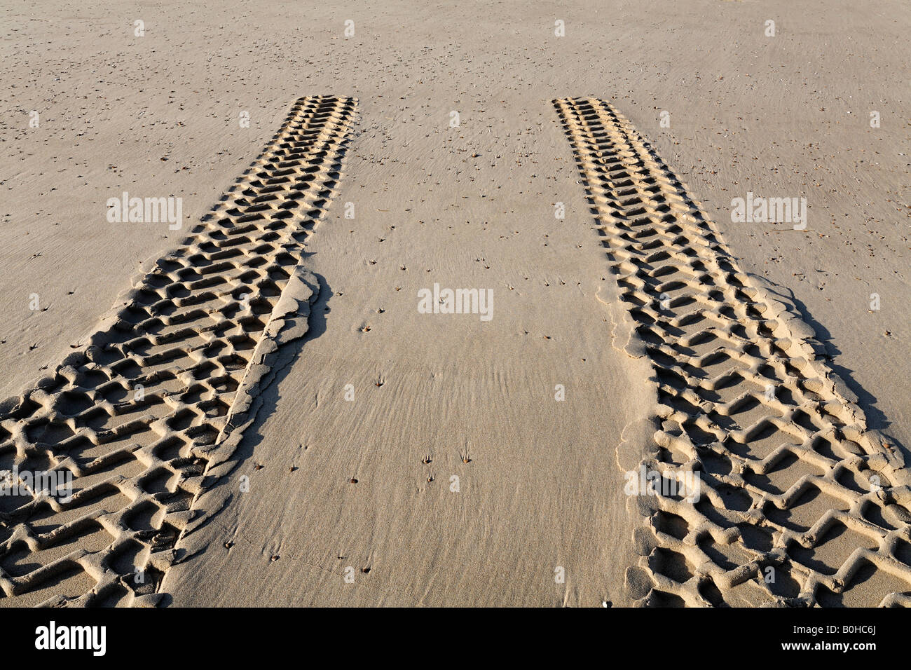 AWD vehicle tire tracks coming to a stop in the sand, beach on the