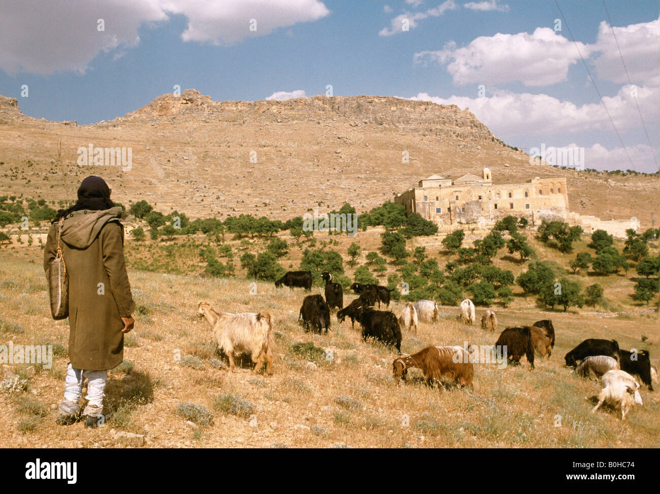 A Kurdish goatherd with a Syrian Christian monastery in the background, Turkey. Stock Photo