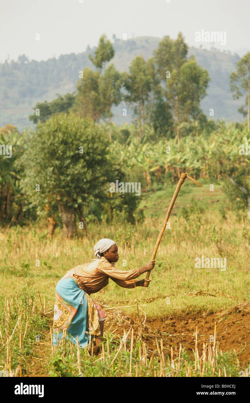 A woman working in a field with a hoe, Kisovo, Uganda. Stock Photo