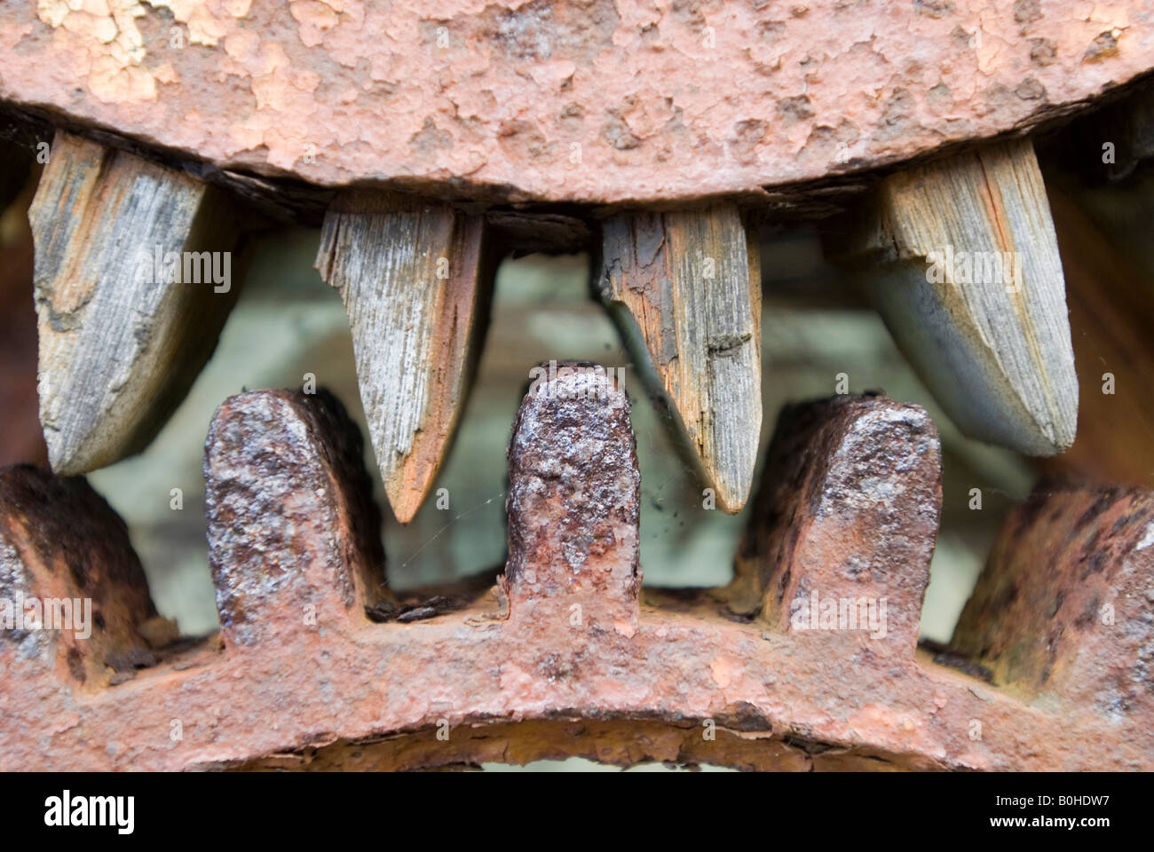 Rusty cogwheel, gearwheel, detail Stock Photo