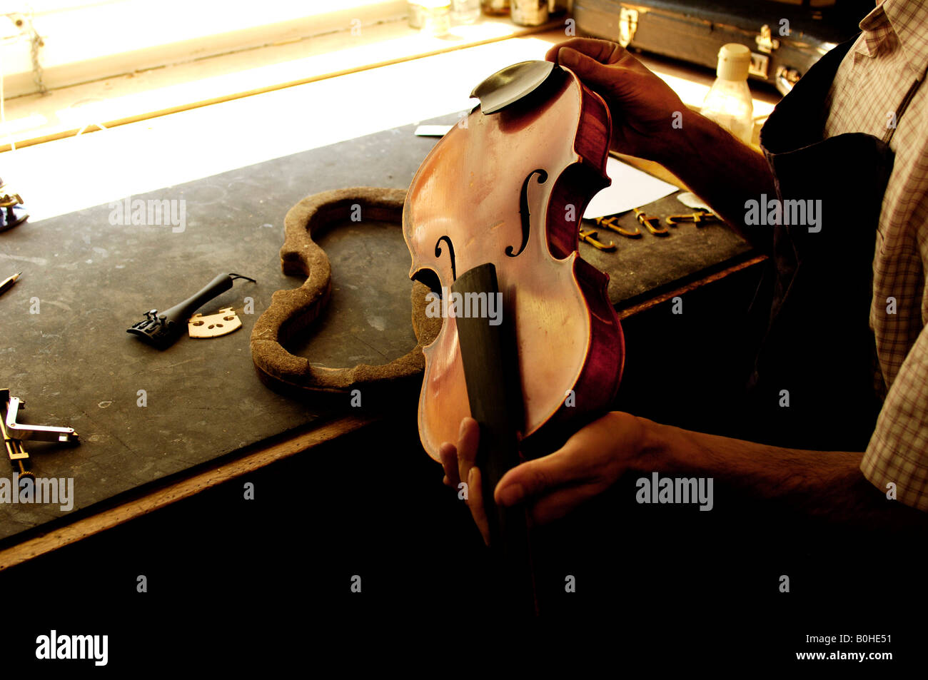 Luthier testing a violin, violin maker's shop in Nuremberg, Middle Franconia, Bavaria, Germany Stock Photo