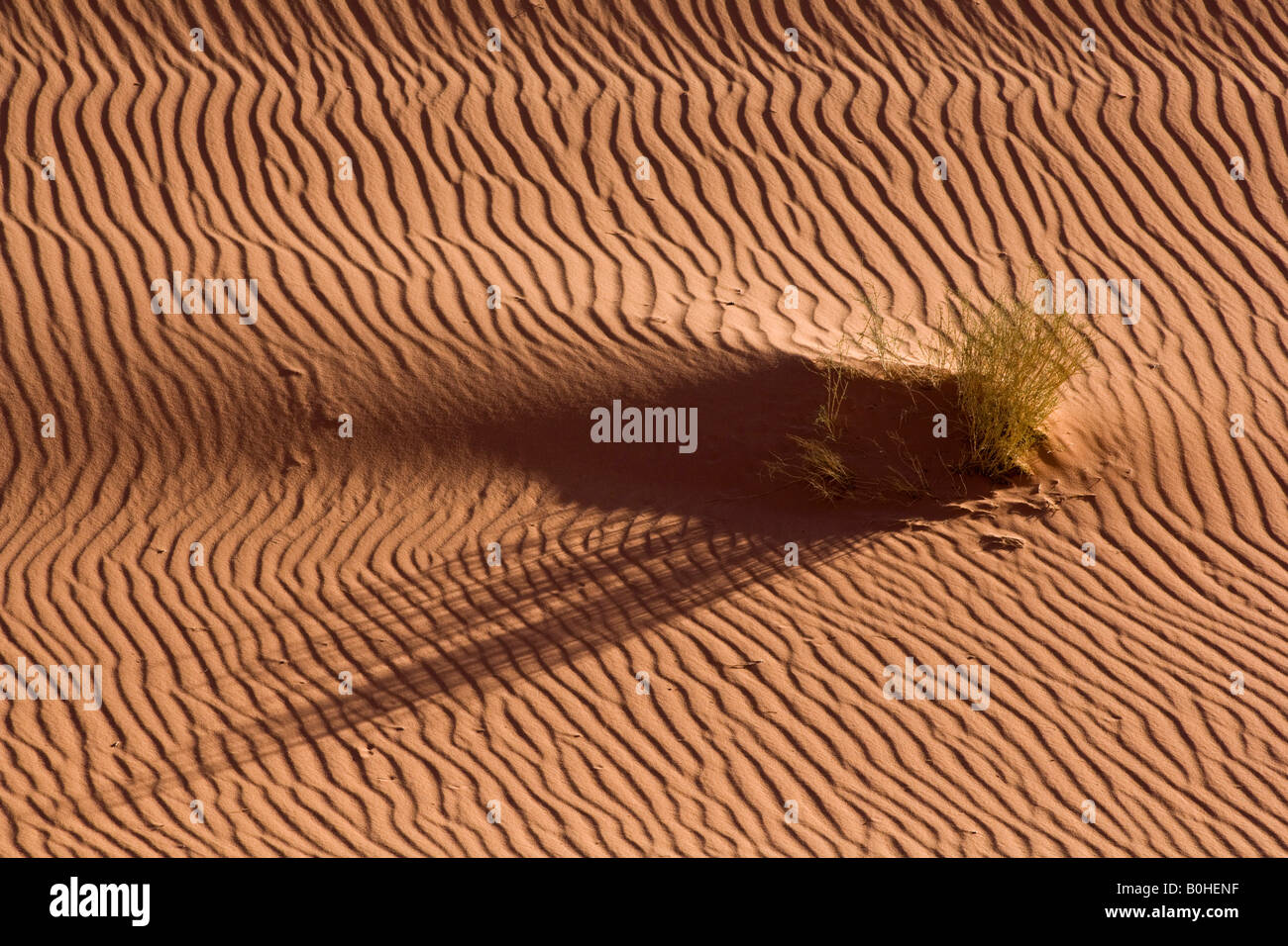 Ripples, sand drifts on a dune in the desert, Wadi Rum, Jordan, Middle East Stock Photo