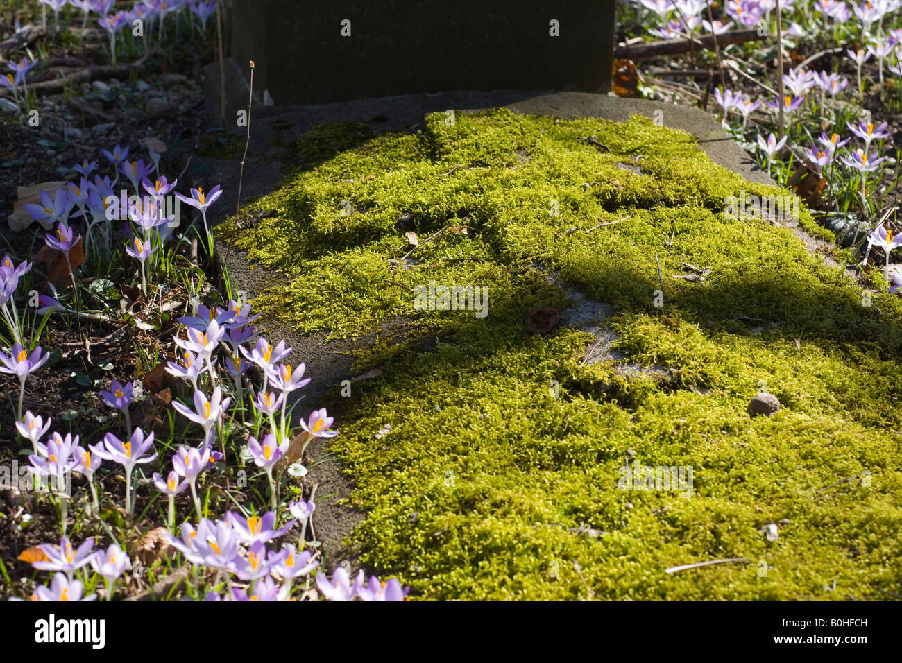 Grave, Alter Suedfriedhof, old cemetery in Munich, Bavaria, Germany Stock Photo