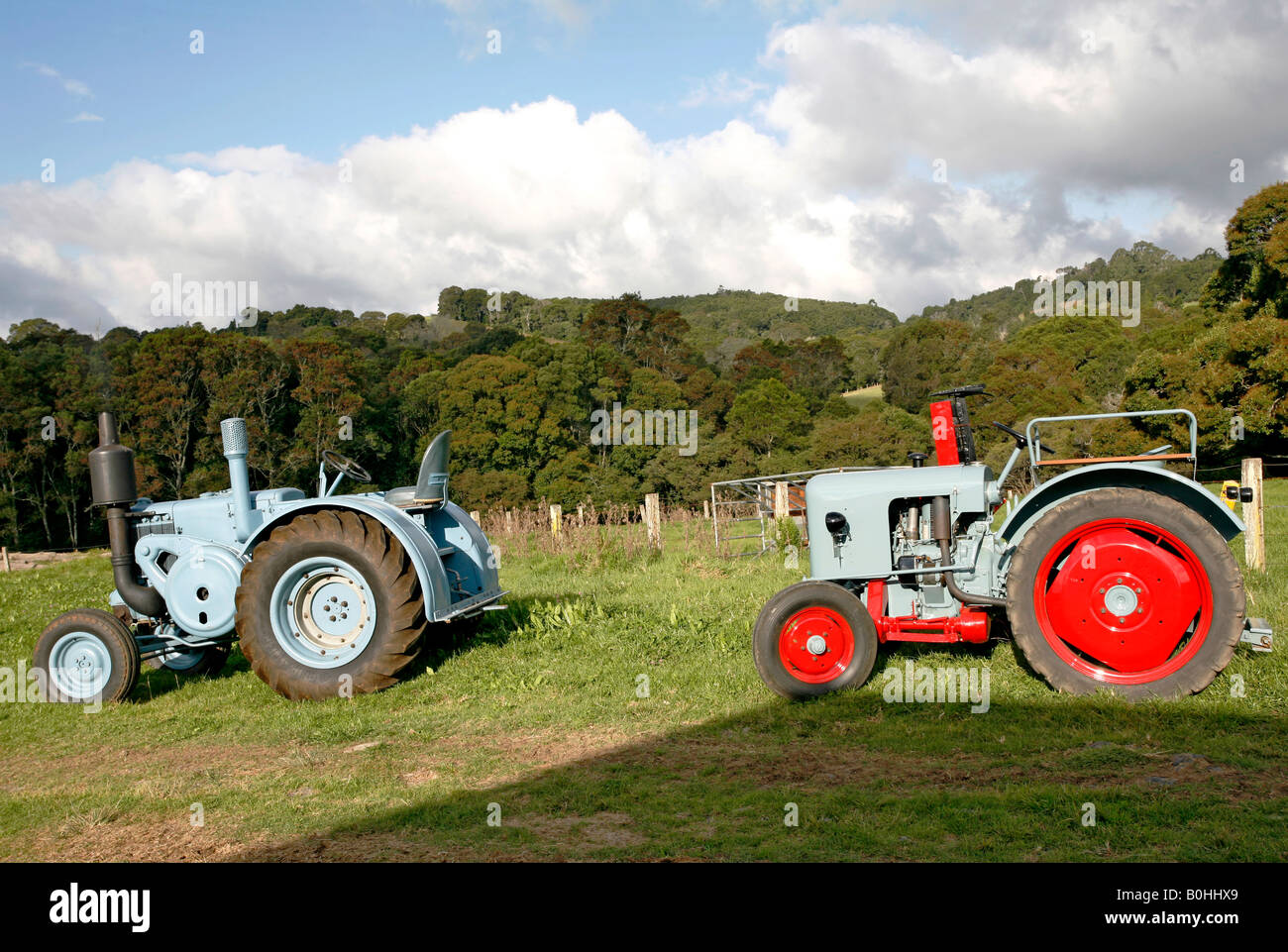 Two restored antique tractors, Eicher 1 Cylinder and Lanz Bulldog Stock Photo