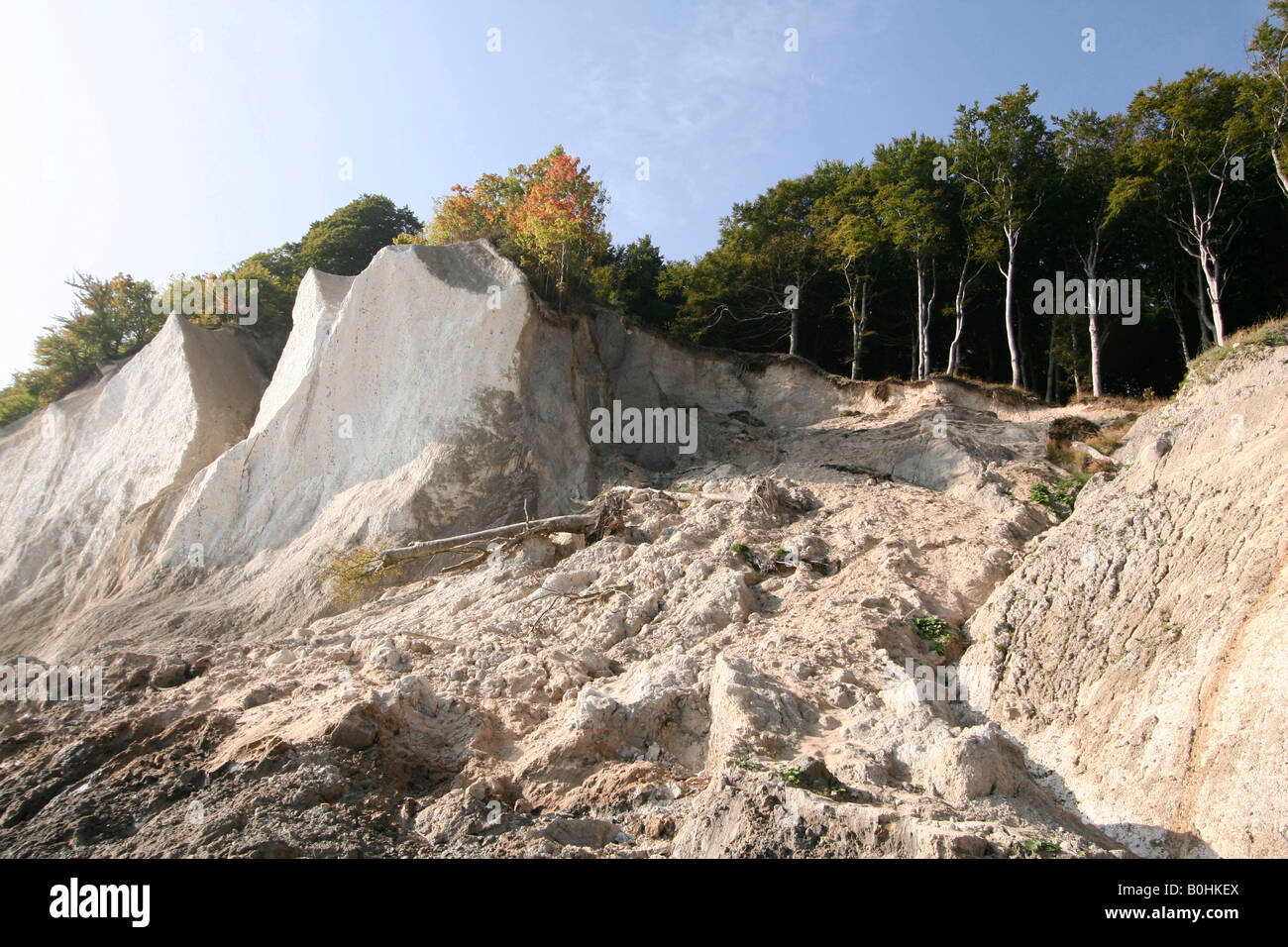 Ruegen Island, Kreidekueste, Chalk Coast, Mecklenburg-Western Pomerania, Germany, Europe Stock Photo