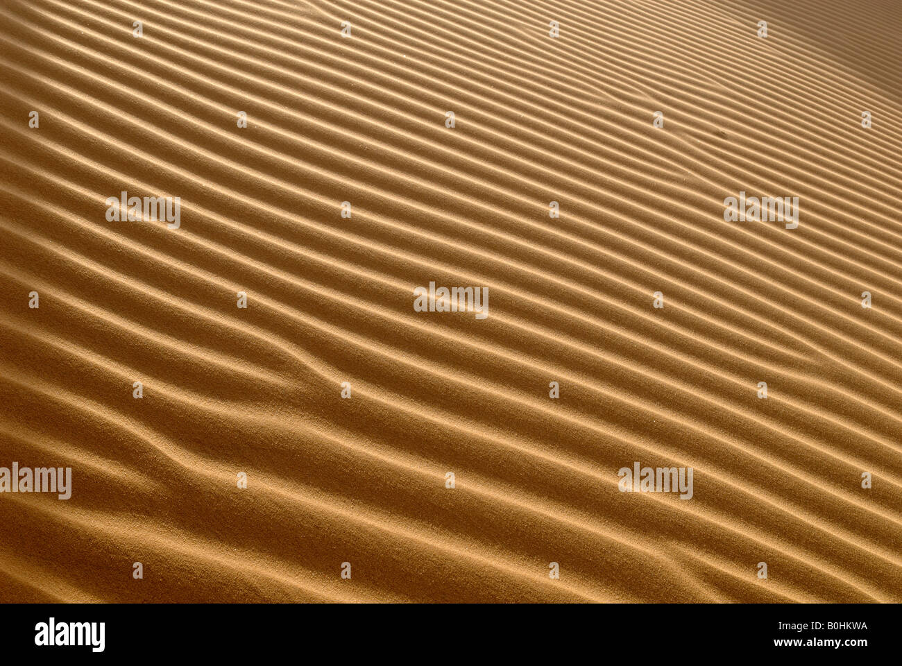 Ripples, sand dune in the desert, Tin Akachaker, Tassili du Hoggar, Wilaya Tamanrasset, Algeria, North Africa, Africa Stock Photo