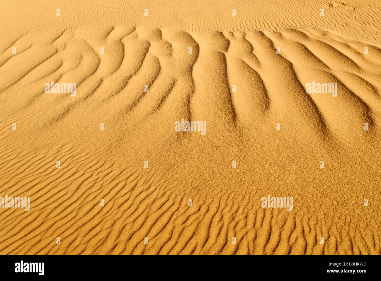 Ripples, sand dune in the desert, Tin Akachaker, Tassili du Hoggar, Wilaya Tamanrasset, Algeria, North Africa, Africa Stock Photo