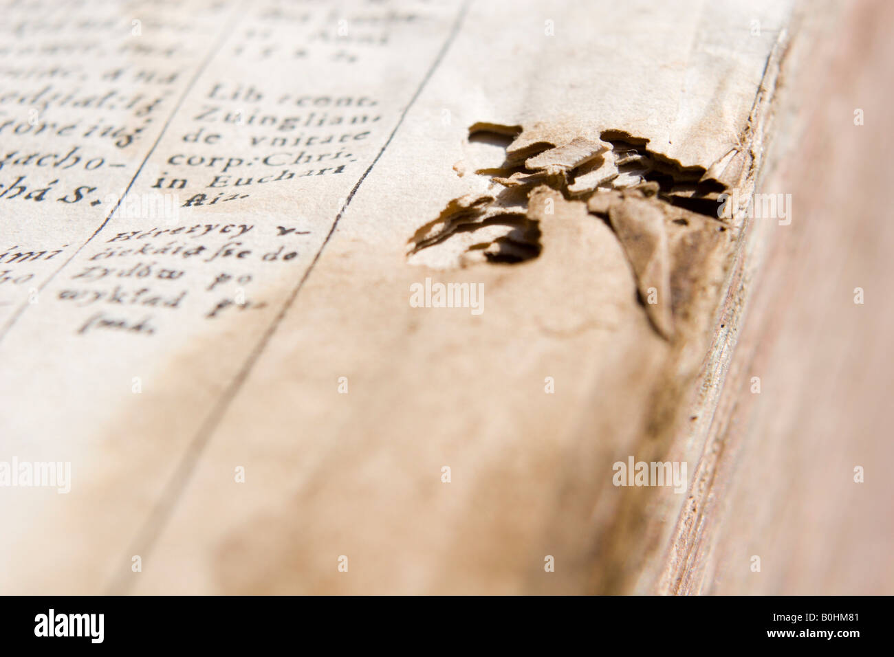 Damaged page of an antique book Stock Photo
