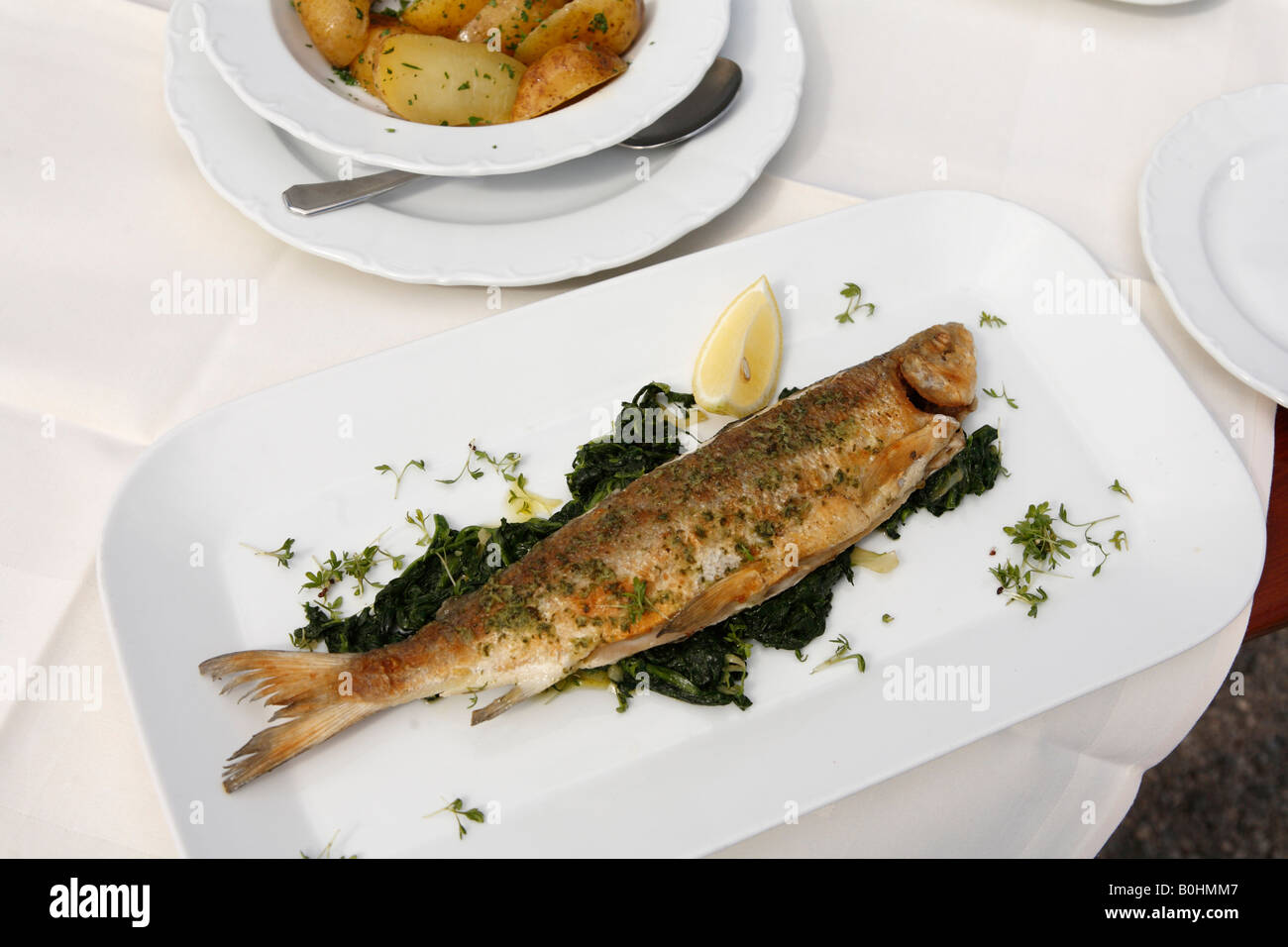 Whitefish caught in the Starnberger See, Starnberg Lake served on a bed of spinach, Restaurant Lido, Seeshaupt, Upper Bavaria,  Stock Photo