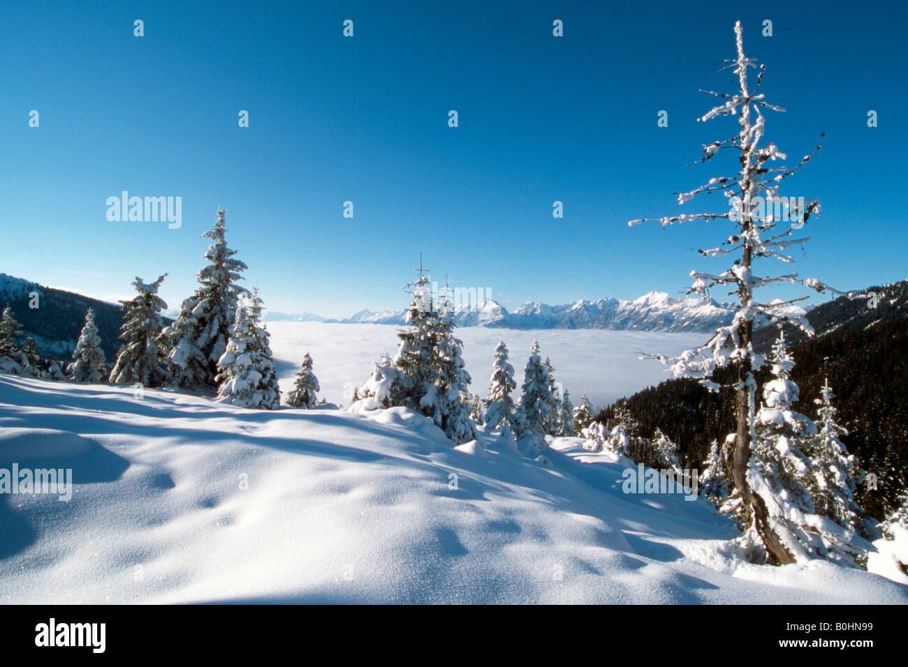 Winter landscape, winterscape, Lower Inn Valley, Tyrol, Austria, Europe Stock Photo