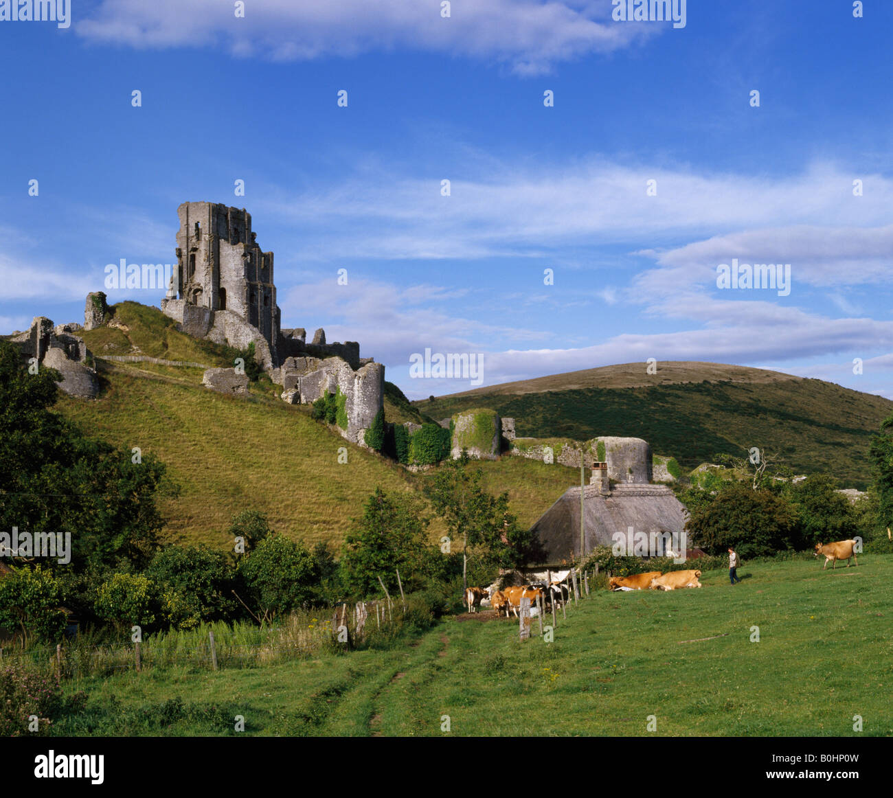 Farmer milking cows hi-res stock photography and images - Alamy