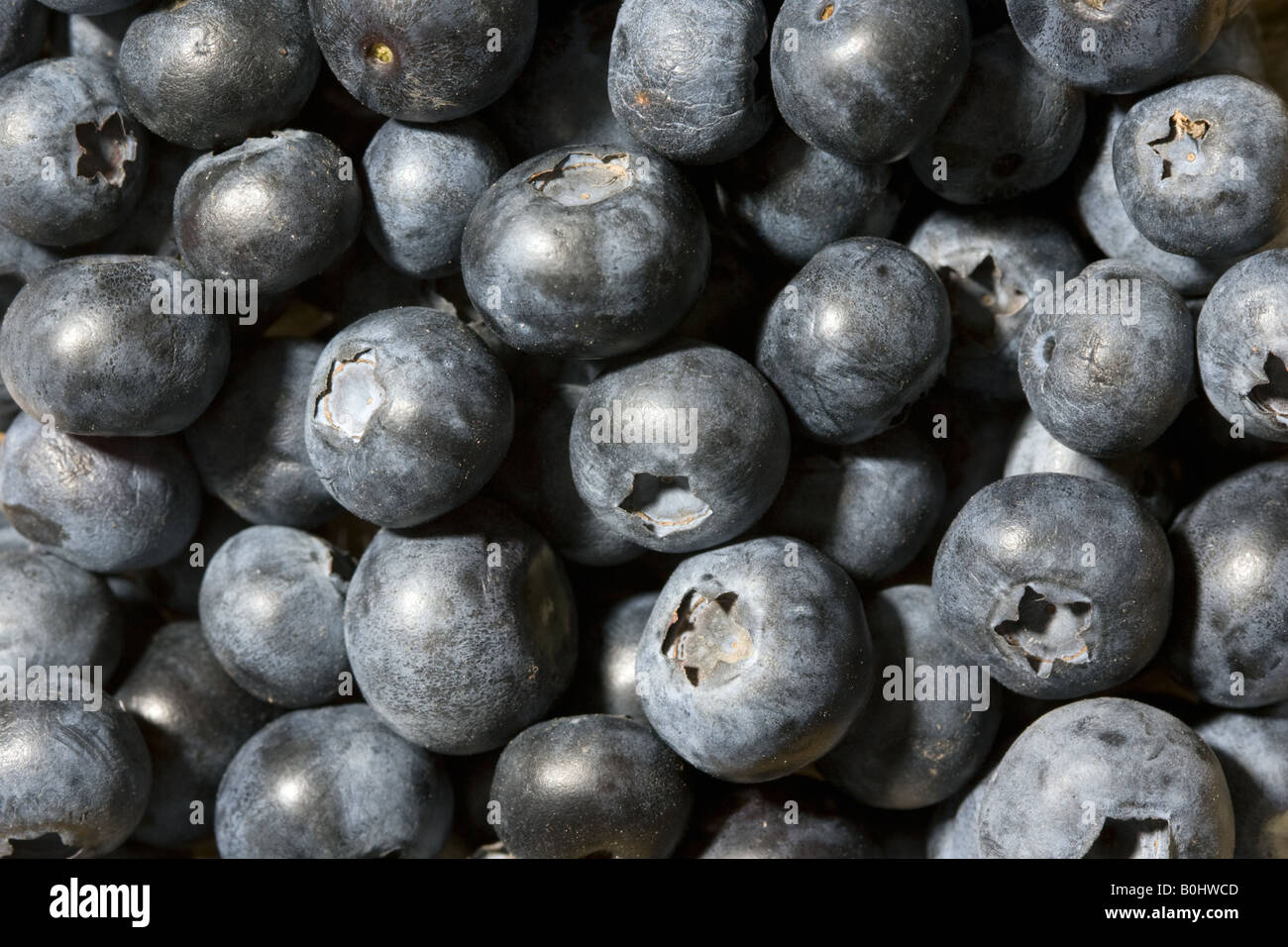Blueberries London England United Kingdom Stock Photo Alamy