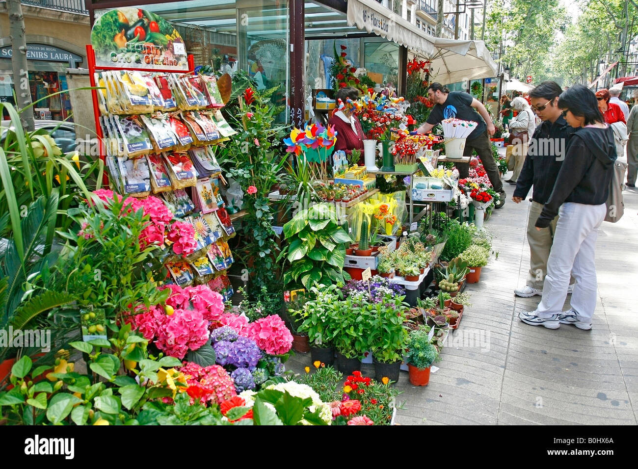 Barcelona las ramblas flower stall hires stock photography and images