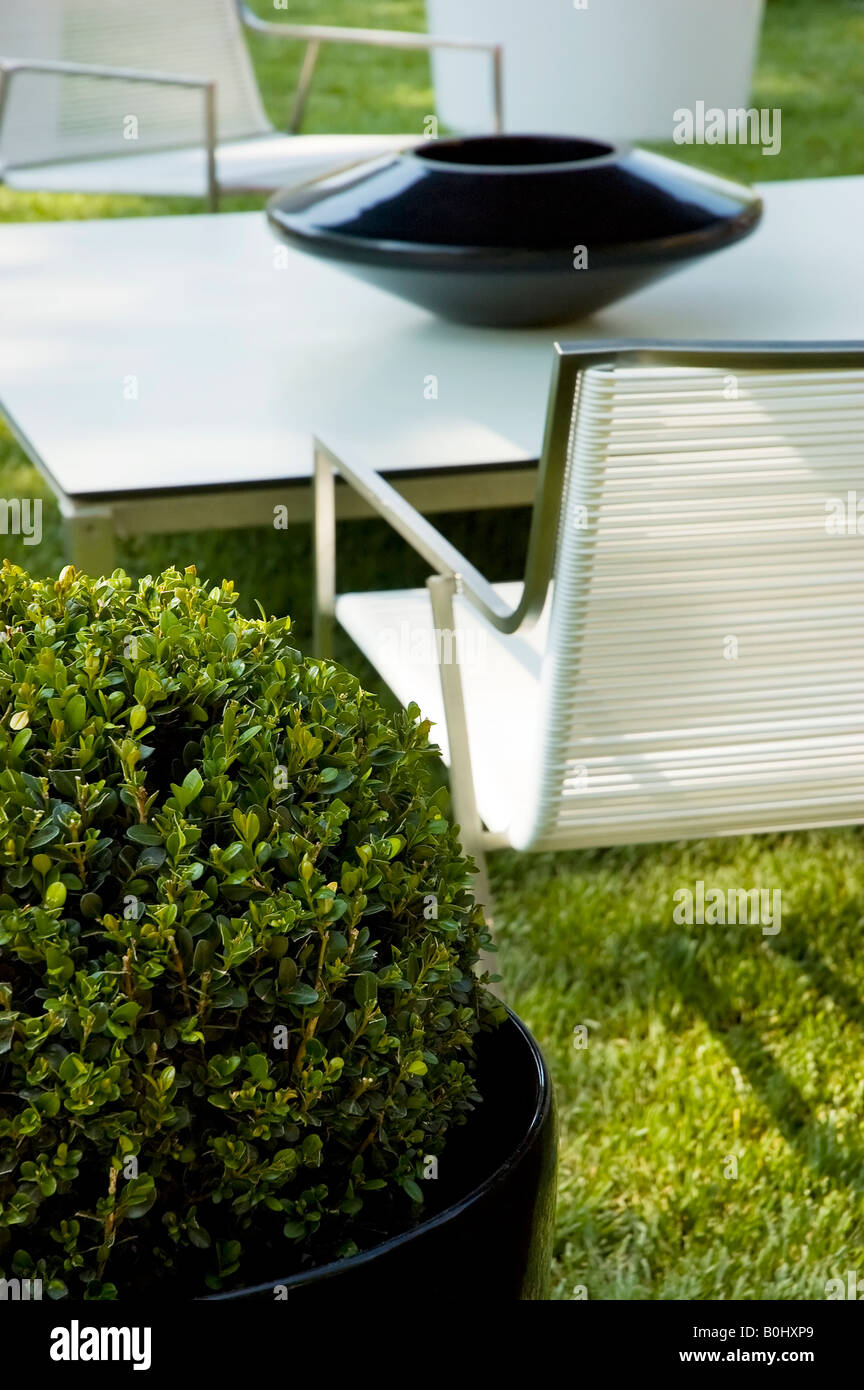 White modern garden furniture on grass with box tree Stock Photo Alamy