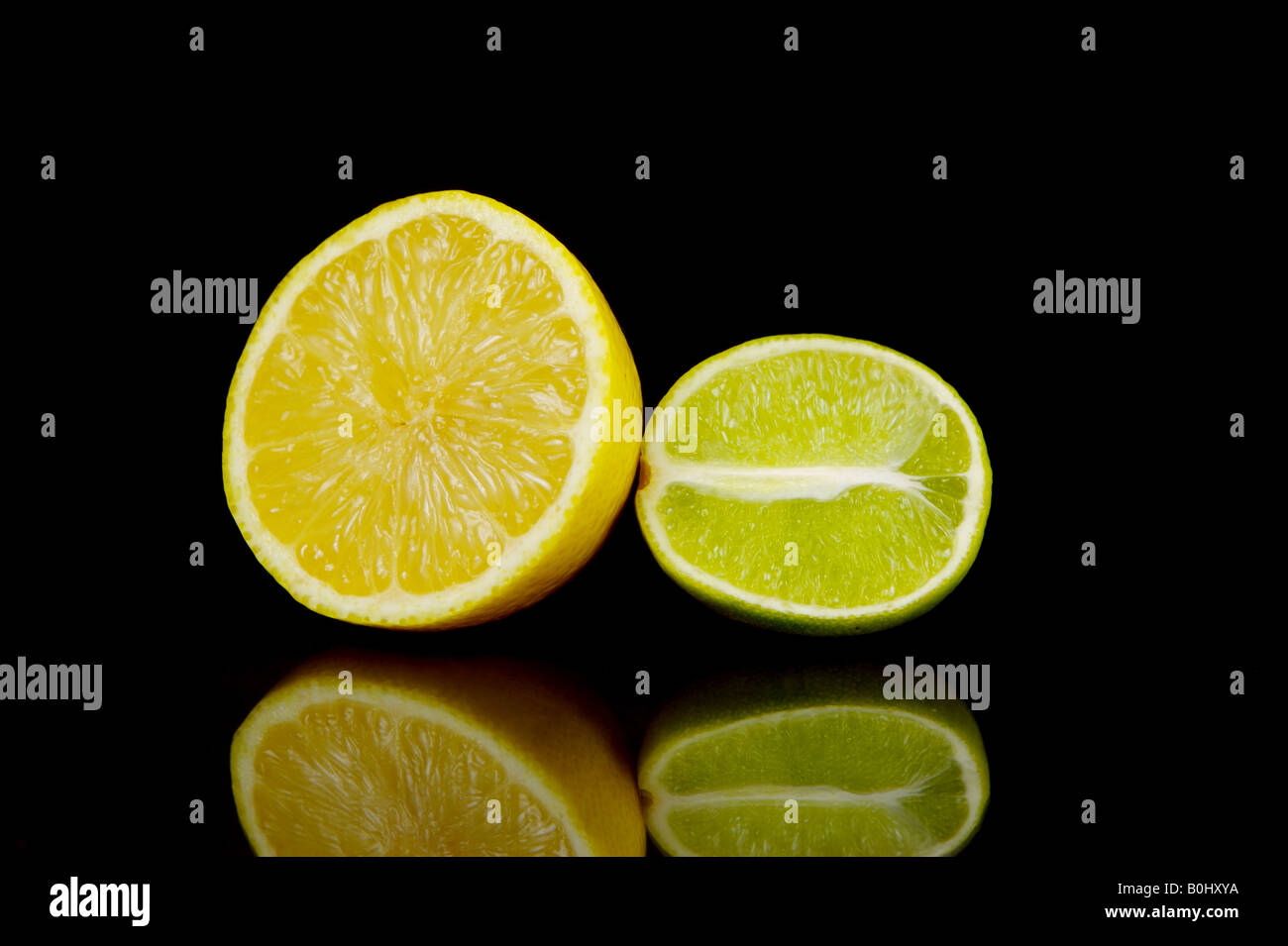 Lemons and limes isolated against a black background Stock Photo Alamy