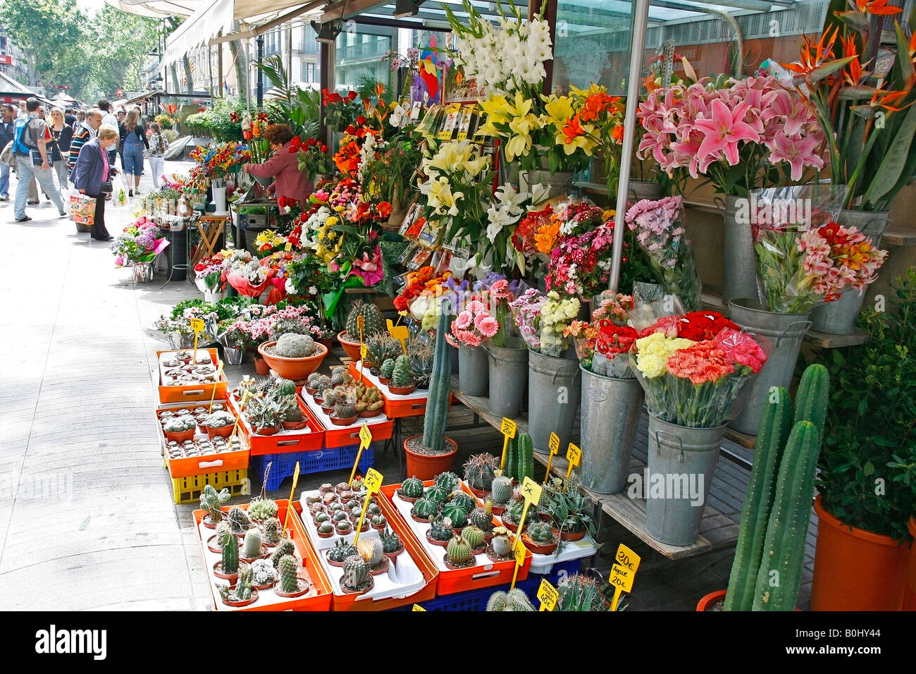 Rambla de las Flores Barcelona Catalonia Spain Stock Photo - Alamy