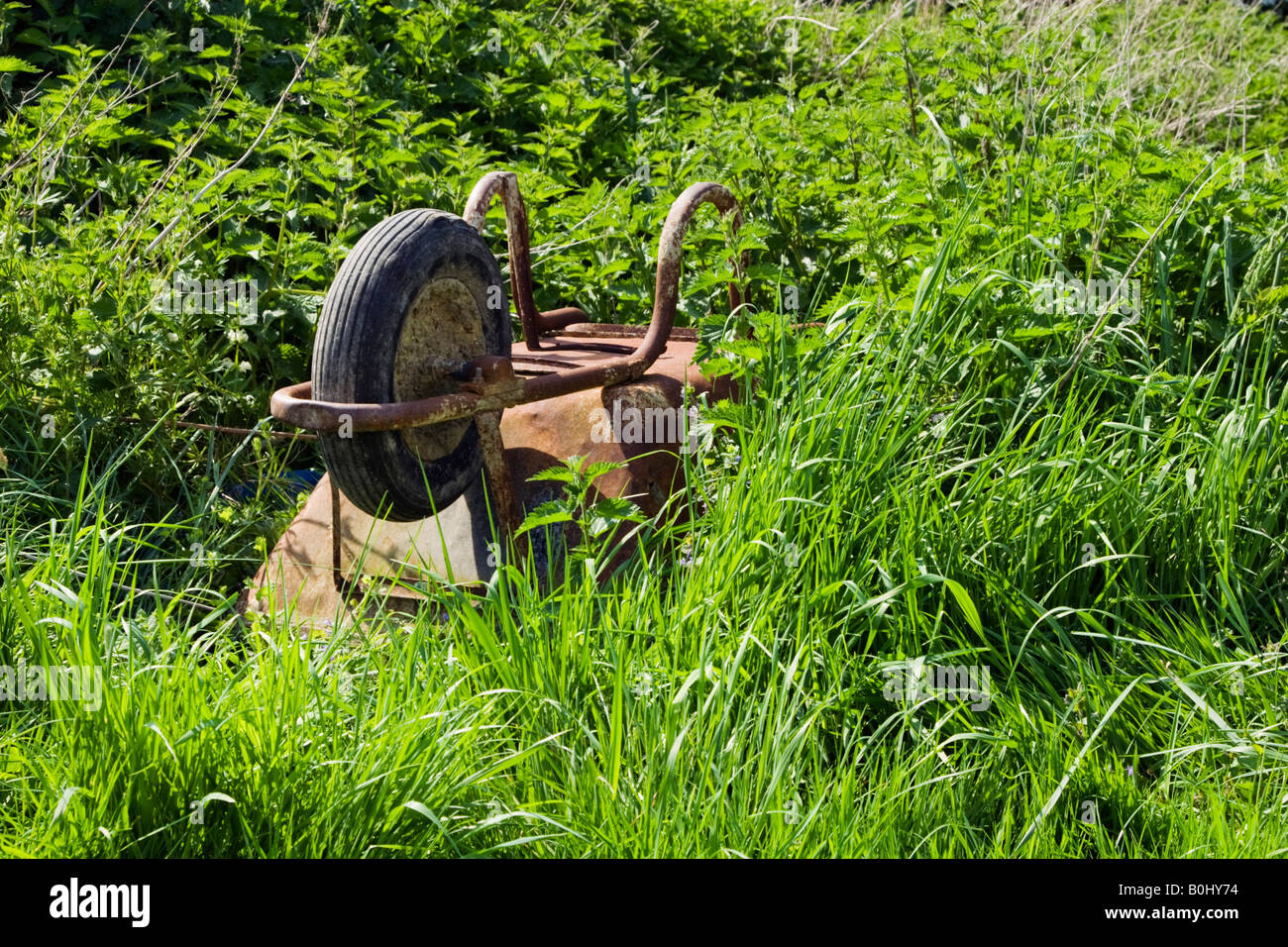 Old rusty wheelbarrow in overgrown garden Stock Photo