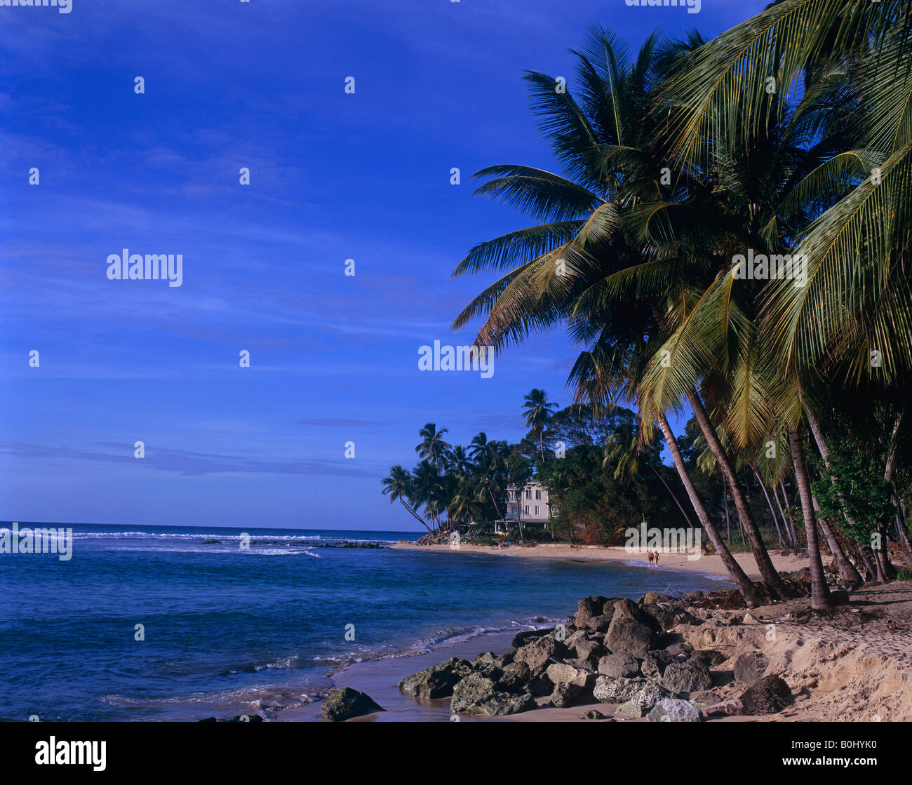 Landscape view, Mullins Bay, Barbados, West Indies Stock Photo Alamy