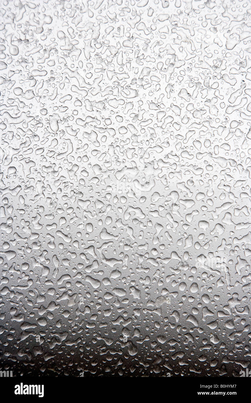 Beads of frozen water after a sleet storm Stock Photo