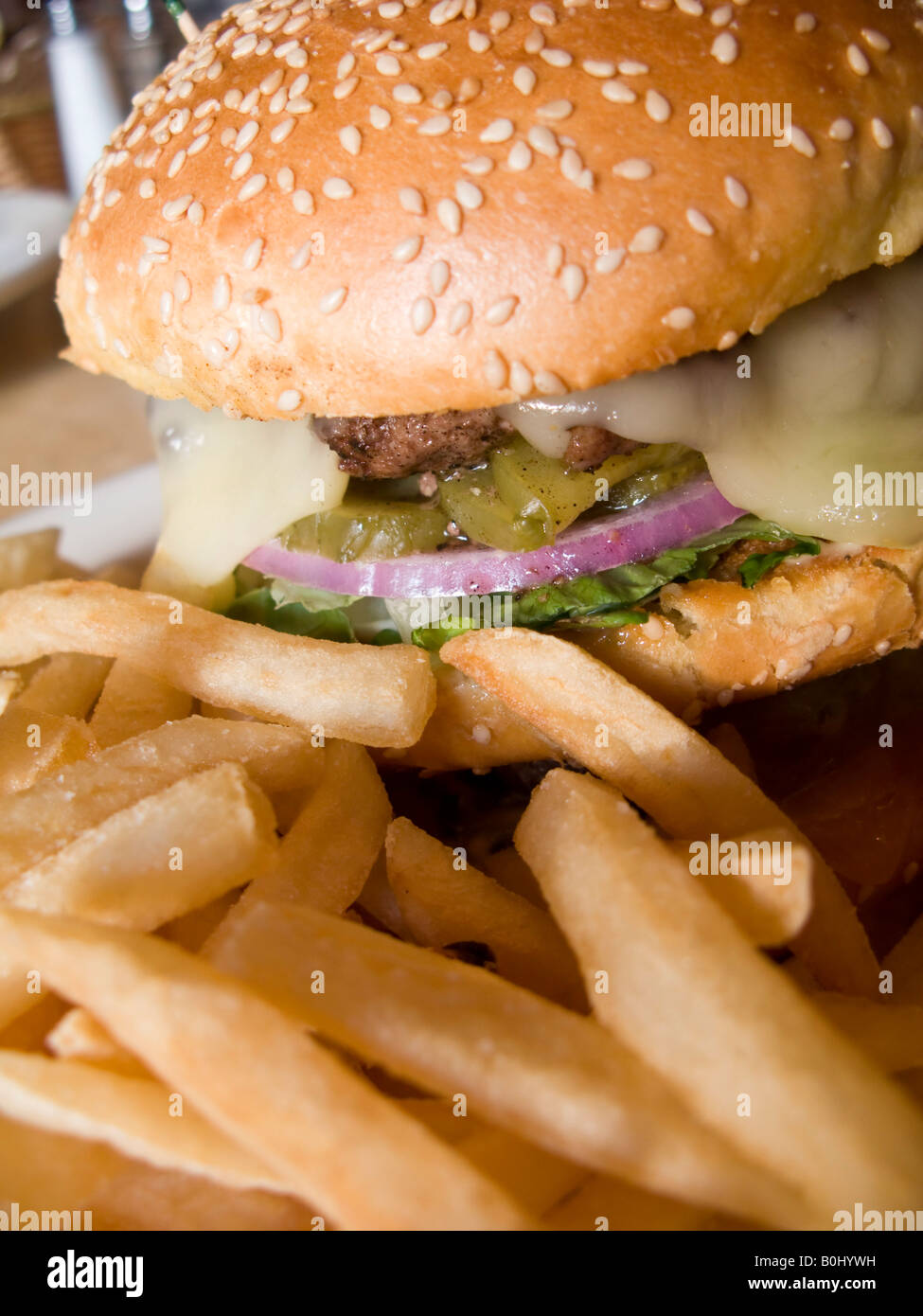 Cheeseburger and french fries on plate, Washington DC, USA Stock Photo